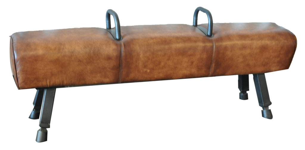 Leather Pommel Horse Bench - Loluma