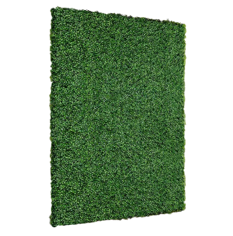 Boxwood Walls Loluma