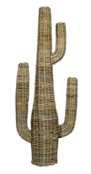 Rattan Cactus